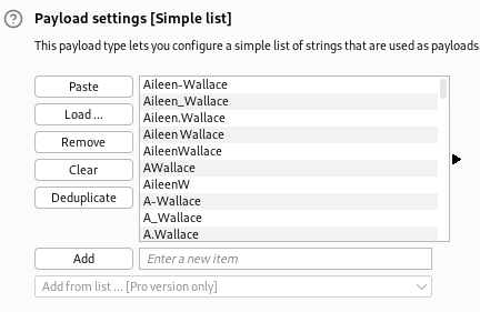 burp suite intruder setting payload