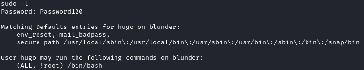 see what we can run as sudo