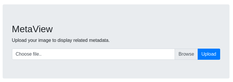 browsing to metaview app