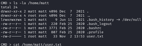 Grabbing the user flag